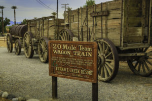 Twenty mule teams hauled borax 165 miles down Death Valley to Mojave in the 1890s