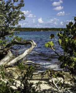 Central Lagoon of Half Moon Cay, Holland America Lines own piece of paradise