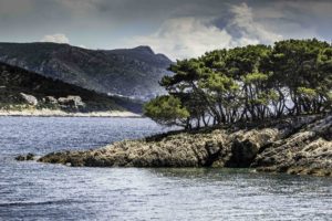 Swim stop in site of Hvar Harbor, Hvar Town, Hvar Island, Croatia, Dalmatian Islands, Aegean Sea, Katerina Line Cruise, Croatia Islands Cruise