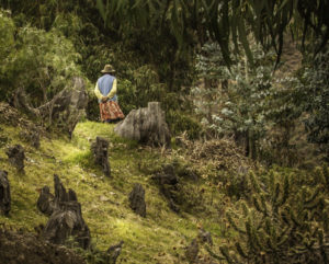 Local culture, Pisac, Peru
