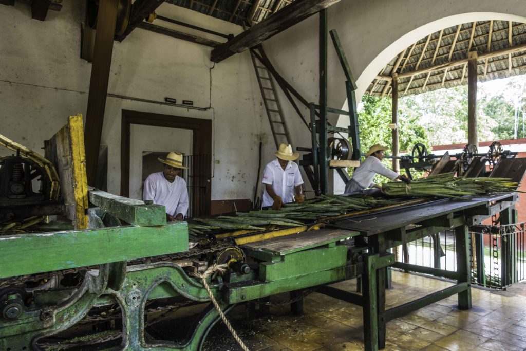 19th century machinery for extracting henequen fiber from Yuca leaves in production of hemp (sisal) rope, Hacienda Sotuta de Peón, Campeche, Mexico