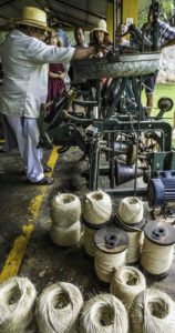 Henequen hemp (sisal) rope derived from Yuca, Hacienda Sotuta de Peón, Campeche, Mexico