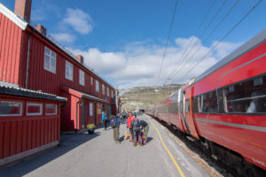 Oslo to Bergen by Train, Norway by Train