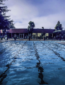 Flamingo Resort, Santa Rosa, California