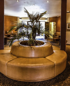 Flamingo Resort, Santa Rosa, California