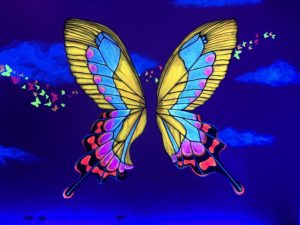 Butterfly Room, Selfieville, Golden State Theater, Monterey, California