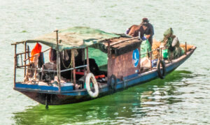 Fishing sanpan on the Yangtze River, Chongqing, China, Three Gorges Cruise 