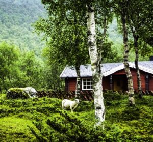 Hurtigen Midnatsol cruise through pastoral Norway