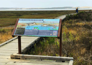 Marina Peninsula Loop Trail in Morro Bay State Park , Moro Bay, California