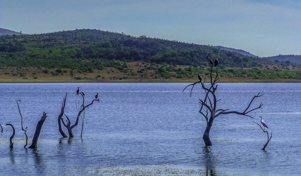 The Mankwe Dam at the center of the Pilanesberg National Park, South Africa