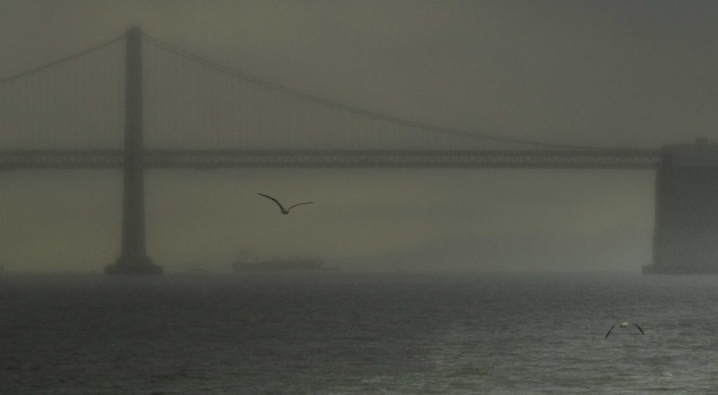 Fog on the Golden Gate Bridge viewed from Fort Baker, Marin Headlands, Golden Gate Recreation Area, San Francisco, California