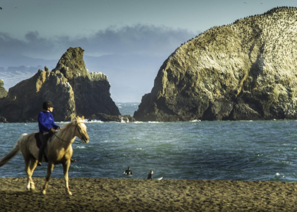 Turf'n on Rodeo Beach, Marin Headlands, Golden Gate National Recreation Area, San Francisco, California