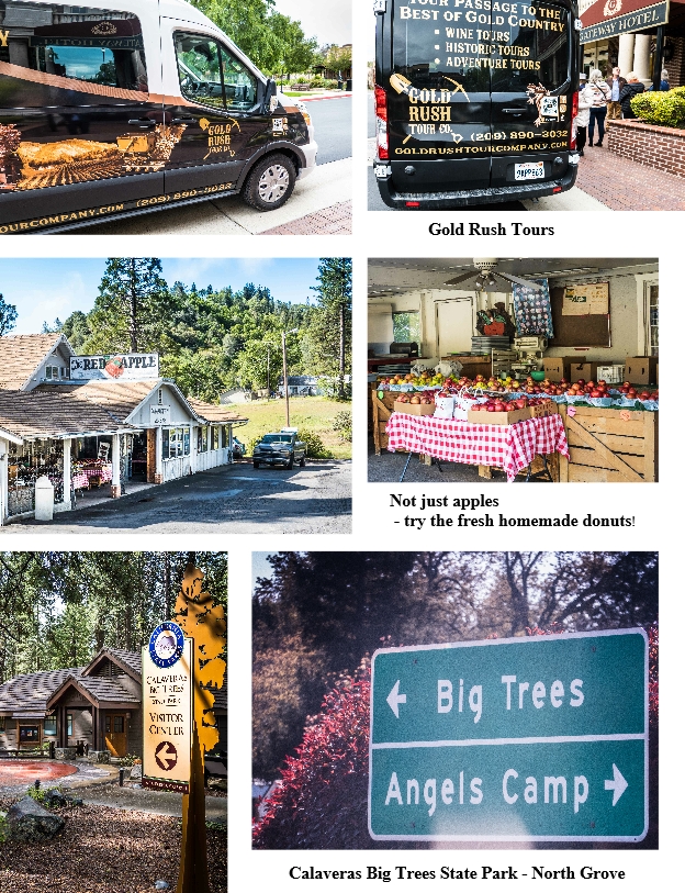 Gold Rush Tours, Calaveras County, Gold Country, Sierra Nevada Mountain foothills, California