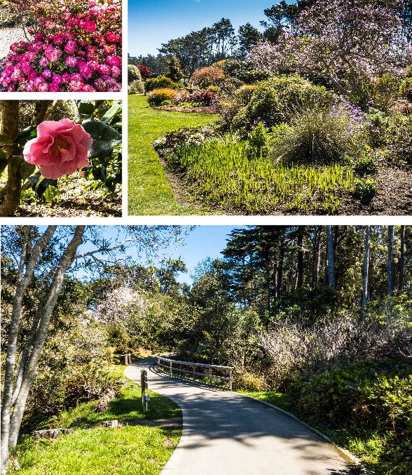 Mendocino Botanical Gardens, Mendocino, California