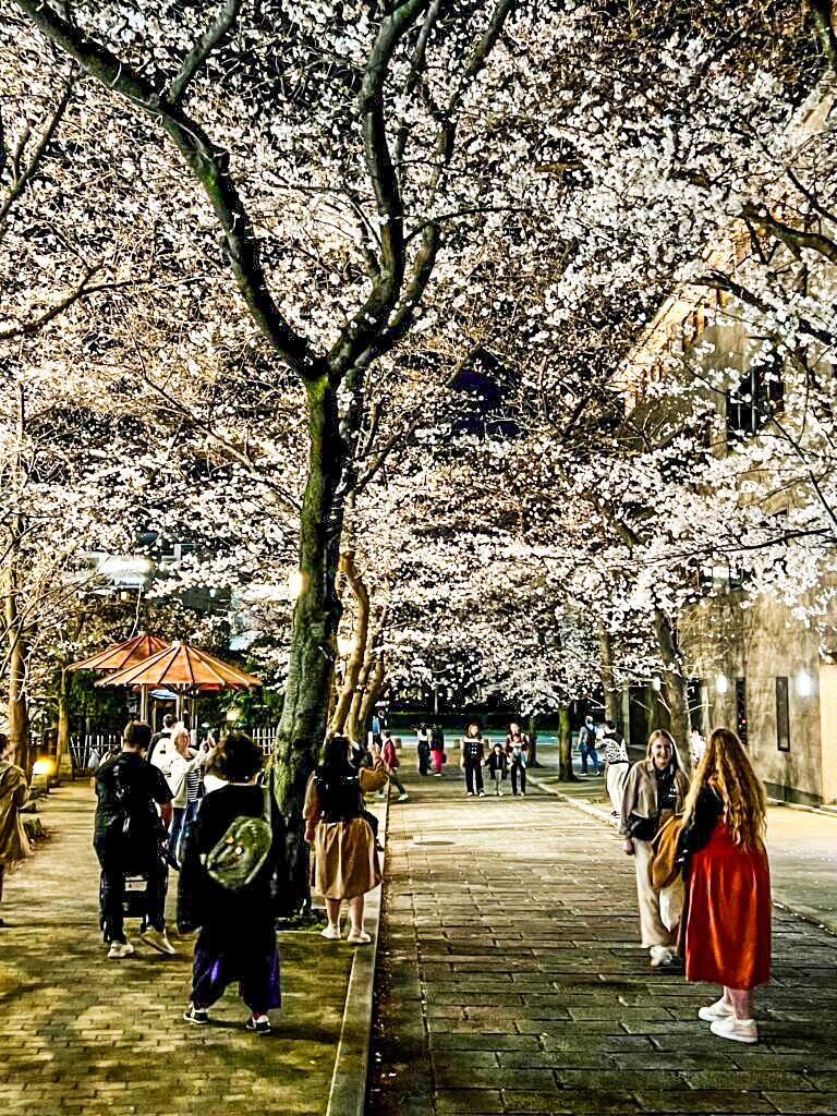 Sujo Kyoto, Japan