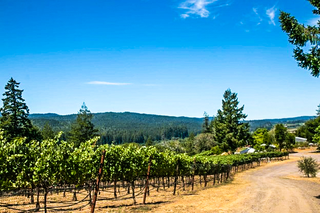 Thomas T. Thomas Vineyards in Philo, California