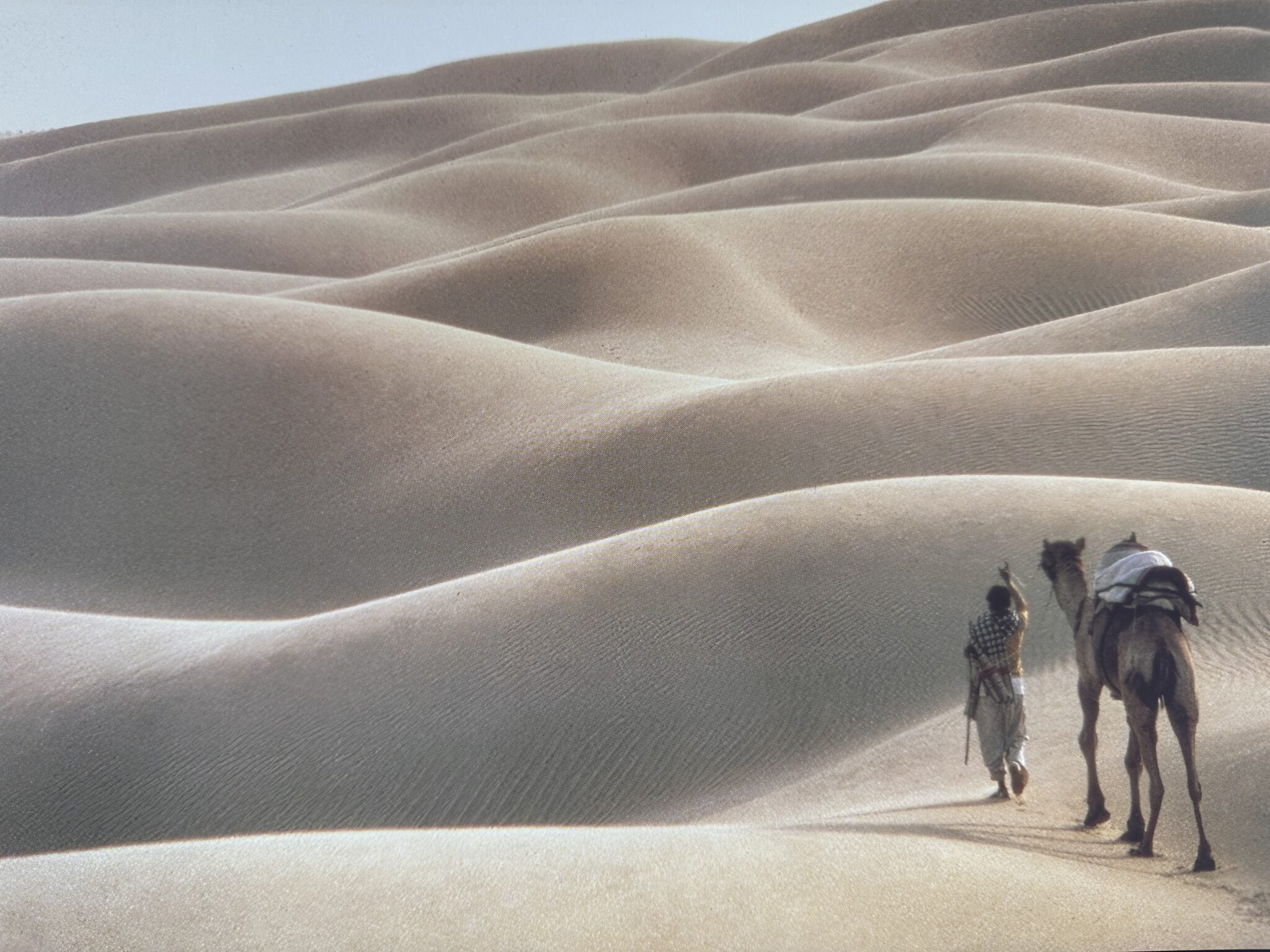 Thar Desert, Rajasthan, India, by Robert Holmes