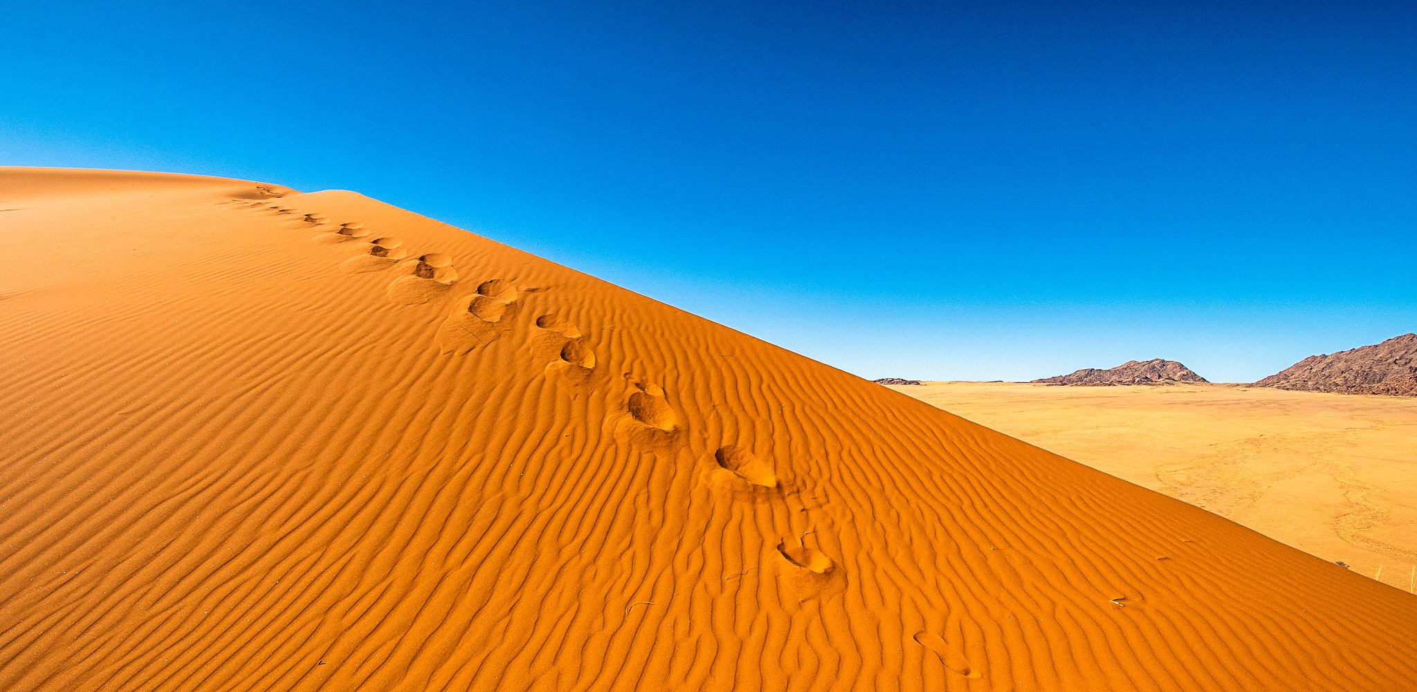 Elim Dune, Sossusvlei, Namibia