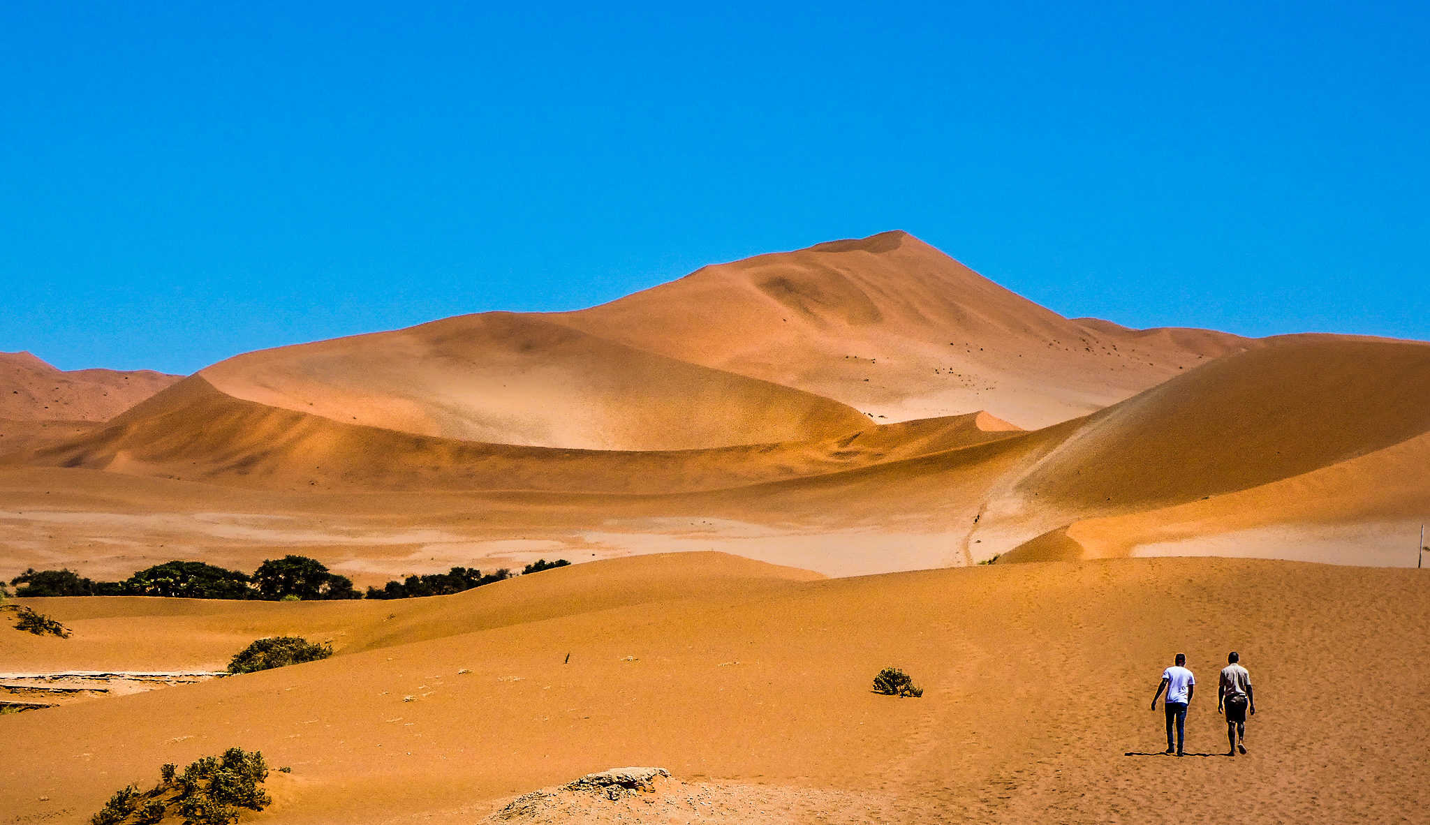 Big Daddy, Namibia