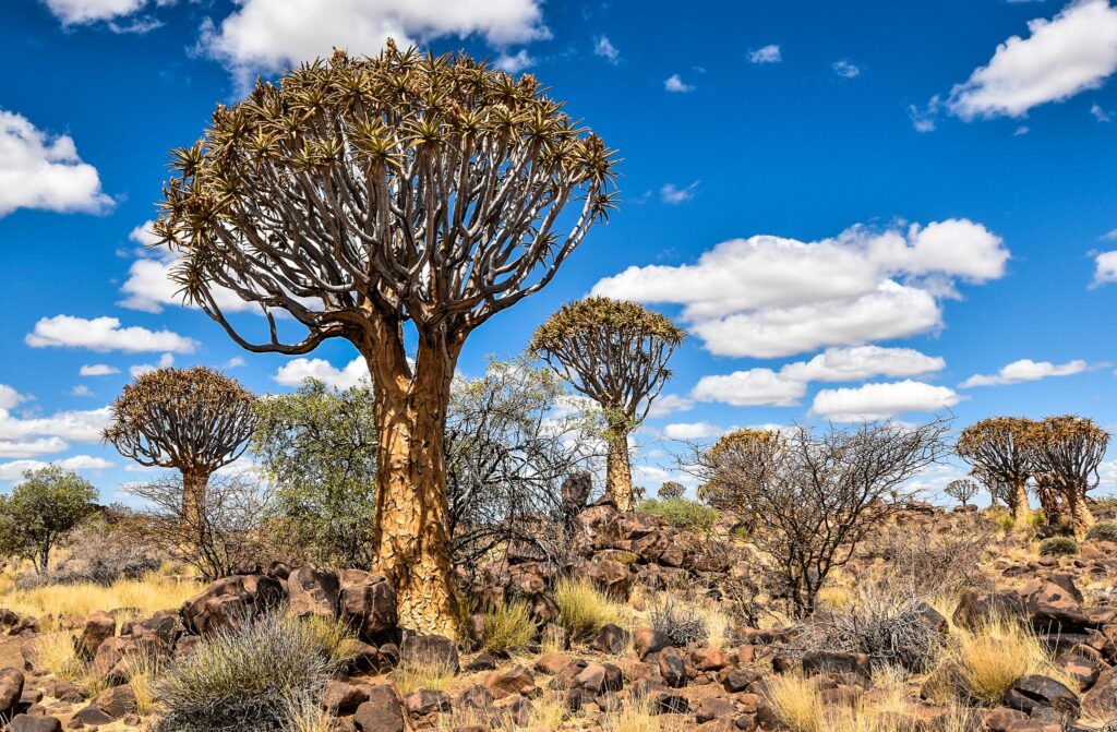 Keetmanshoop, Namibia, Africa