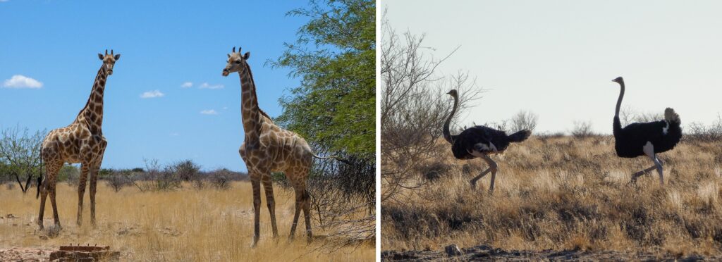 Namibia, Africa