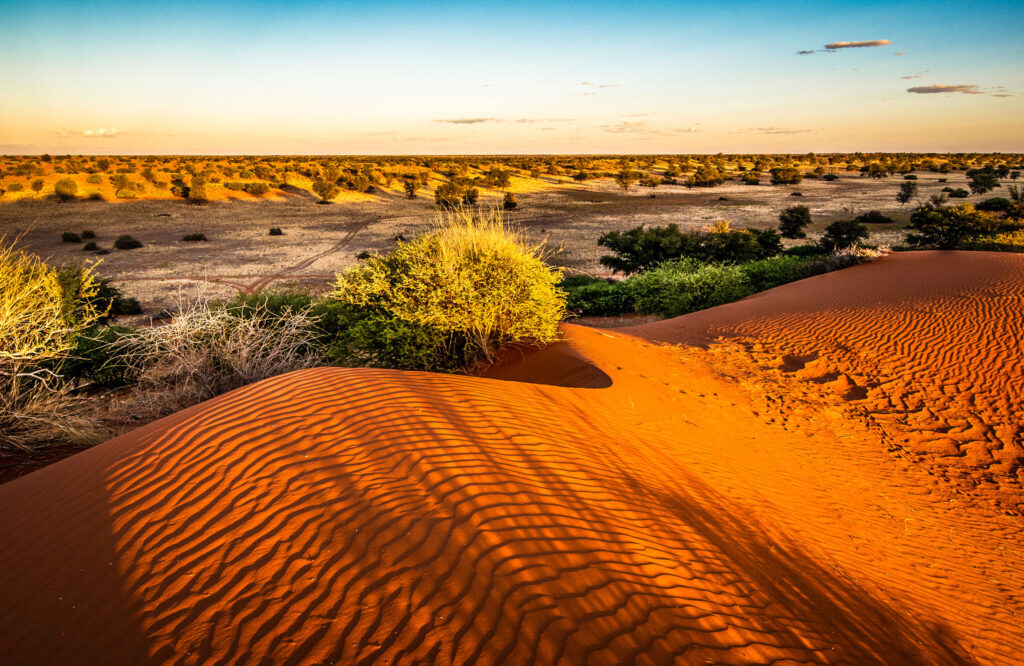 The Kalahari, Namibia, Africa