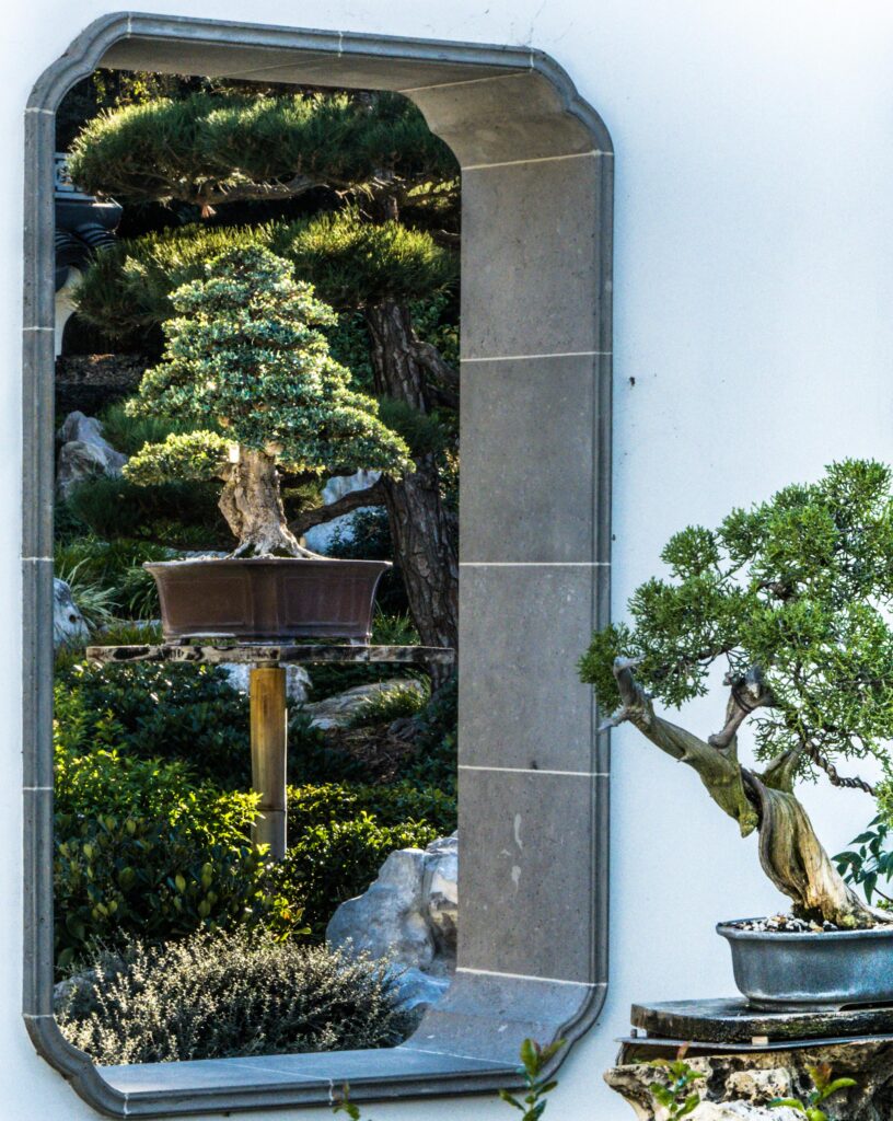 Chinese Garden, Huntington Library and Gardens, San Marino, Pasadena, California