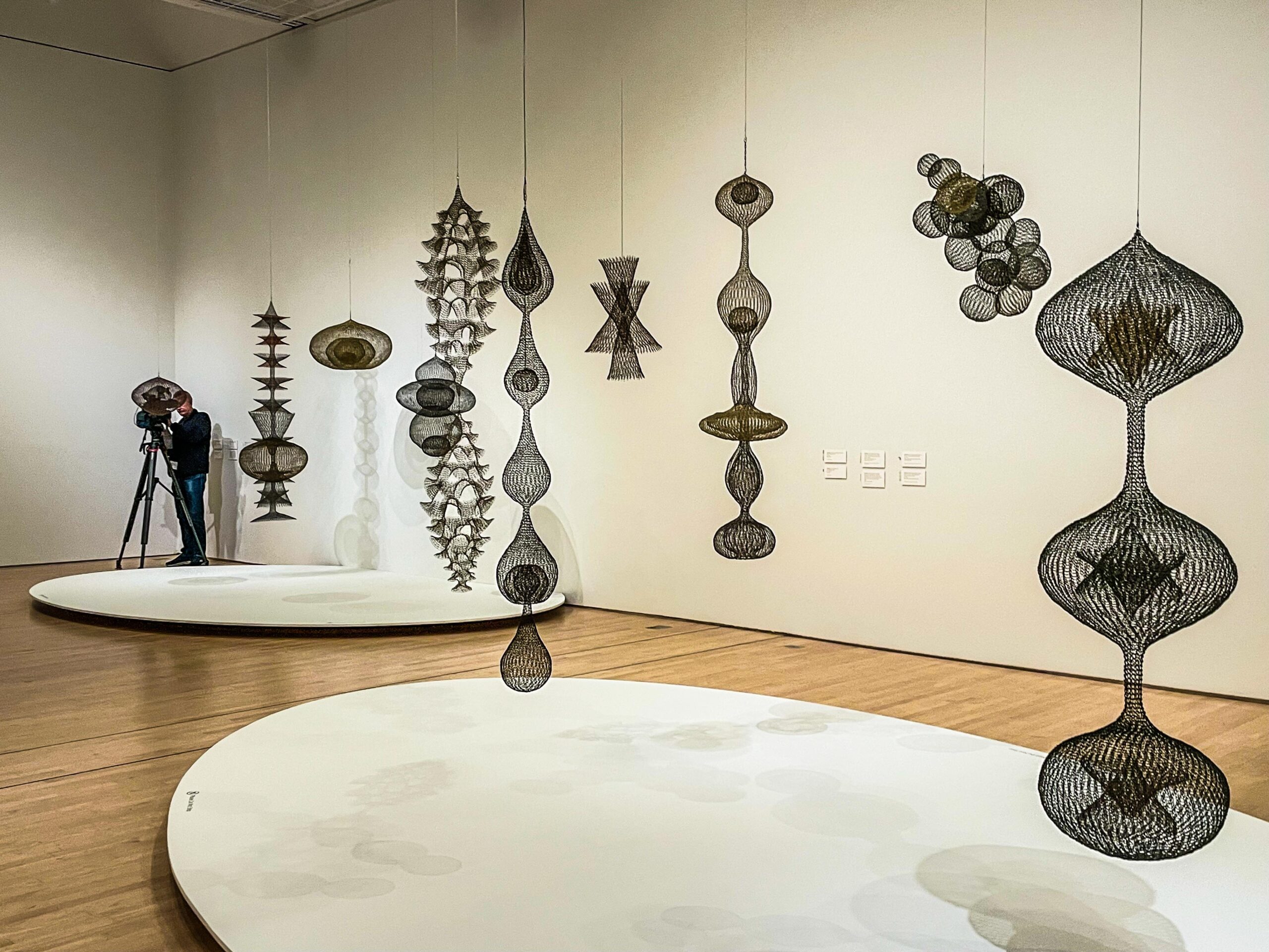 アート・デザイン・音楽 A Retrospective Of Sculpture And Drawing Ruth Asawa Retrospective at SFMOMA - Travel Examiner