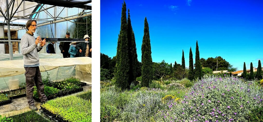 Garden guru and nursery owner Olivier Filippi and his personal garden, France