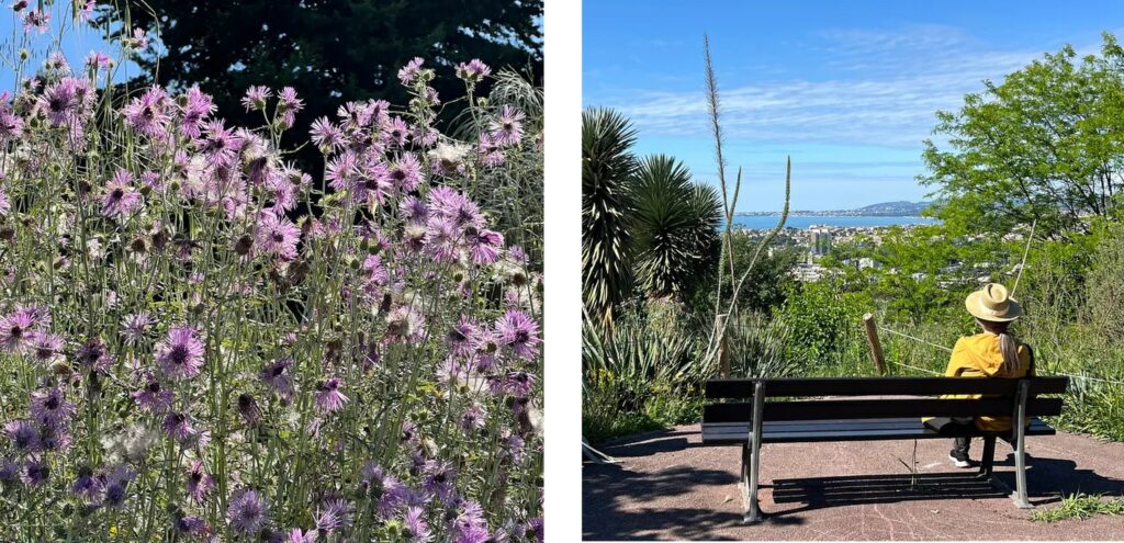 Native Provencal plant area and the view over the bay.