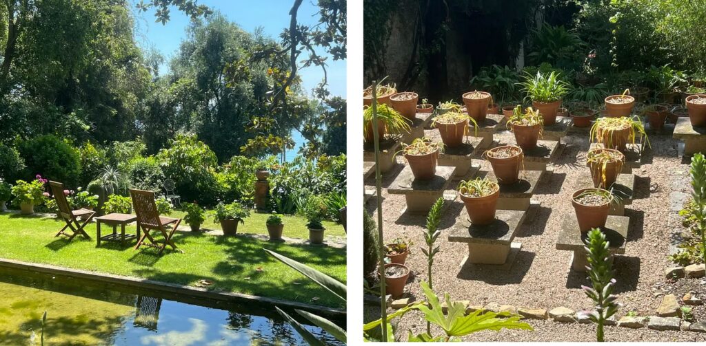 The lower terrce with ocean view. A sample of the bulb collection.