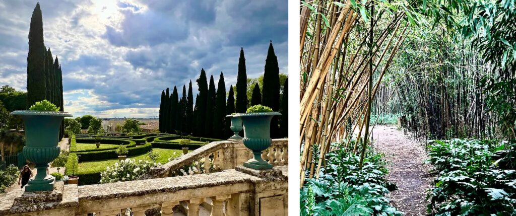 The classic clipped boxwood hedge garden and the bamboo grove, France